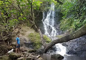 Oahu Hidden Waterfall Hike: A Tropical Paradise Adventure