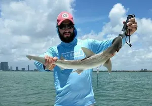Miami Beach Inshore Fishing Charters