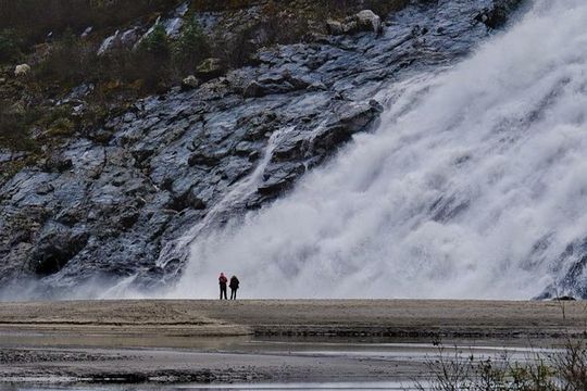 Mendenhall Glacier Trolley Tour