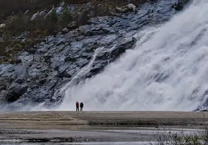 Mendenhall Glacier Trolley Tour