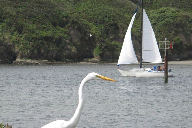 Private Sailing Tour of Bodega Bay
