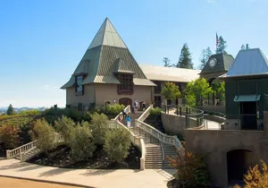 8-hr Beer & Wine Tour of Sonoma/Napa from San Francisco in XL SUV