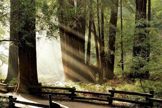 Muir Woods & Napa/Sonoma -6-8hr-Private Scenic Wine Tour From SF