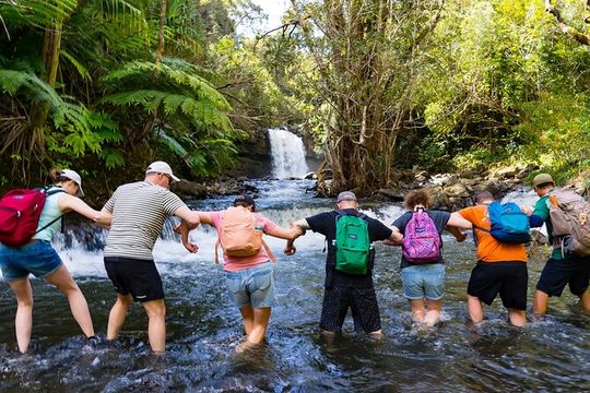 Small Group Waterfall and Rainforest Hiking Adventure on Maui