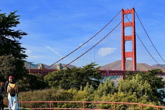 From San Francisco: Muir Woods Tour and Hop-on Hop-off City Tour