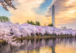 Washington DC Day Tour from New York City