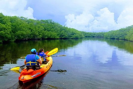 Mangroves and Manatees - Guided Kayak Eco Tour