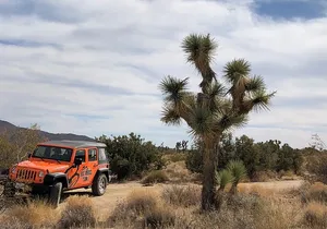 Joshua Tree National Park Offroad Tour
