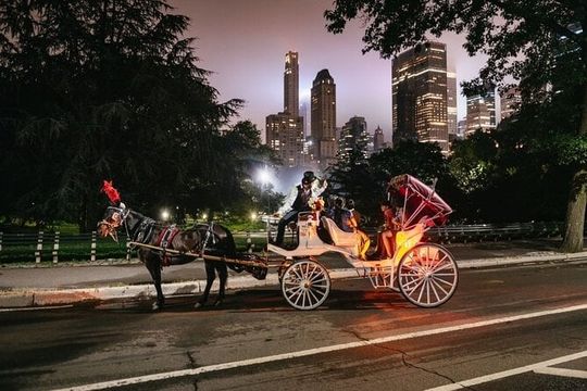 VIP Horse Carriage Ride through Central Park (Up to 4 Adults)