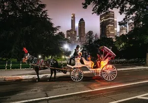 Central Park & Rockefeller Tour (4 Adults)