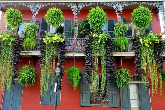 Private New Orleans City Tour with Local Expert Guide