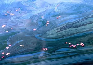 Pearl Harbor Arizona Memorial - Honolulu Tour - Submarine Access