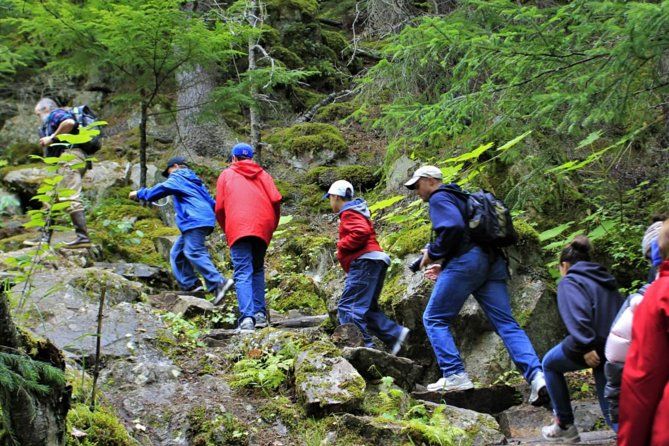 Skagway Shore Excursion Chilkoot Trail Hike and Float Tour