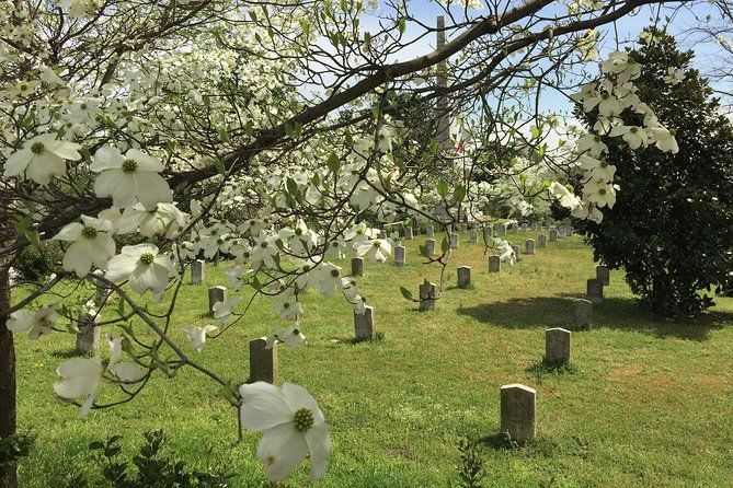 Private Atlanta History Tour From Civil War to Civil Rights