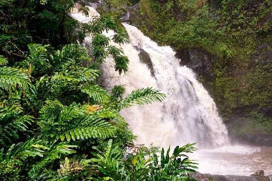 Deluxe Halfway to Hana: Private Tour from Kahului