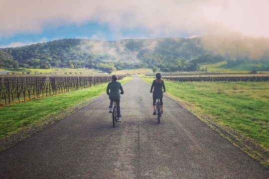 Sonoma Valley Pedal Assist Bike Tour