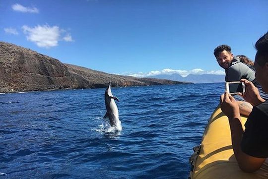 Lanai Deluxe Dolphin Adventure & 3 Snorkel Sites