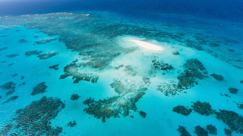 Cairns & the Tropical North