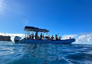 The Best 2 Hour Molokini Express Snorkeling