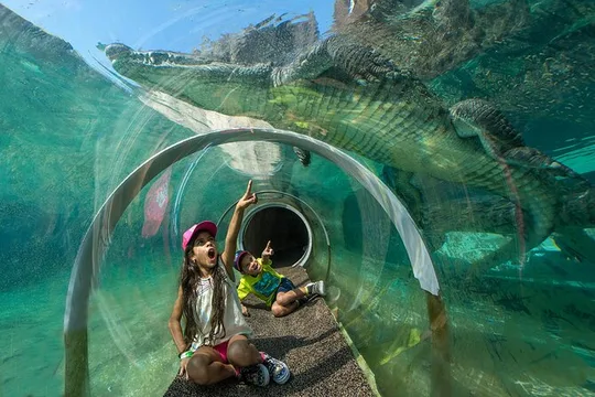 Go City: Miami Explorer Pass - Choose 2, 3, 4 or 5 Attractions