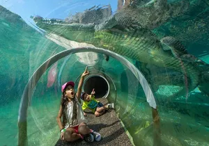 Go City: Miami Explorer Pass - Choose 2, 3, 4 or 5 Attractions