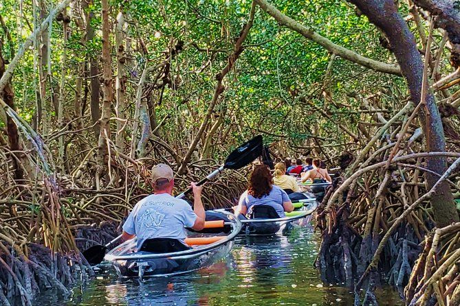 Small-Group Clear Kayak Tour in Shell Key
