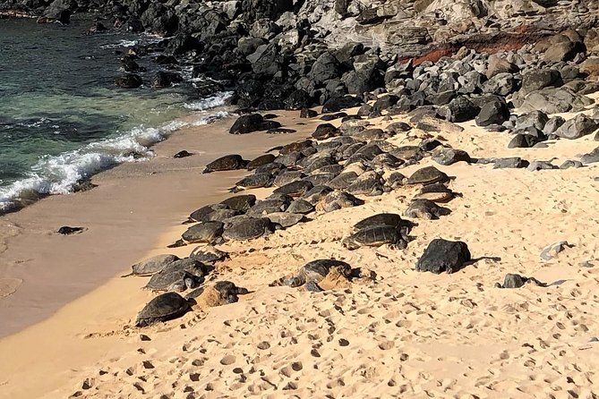 Road to Hana: Full-Day Scenic Drive with Blacksand & Waterfalls