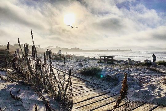 Monterey, Carmel and Pacific Coast Explorer from San Francisco