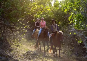 Oahu Sunset Horseback Ride