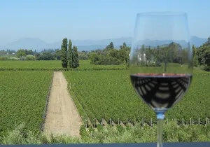 Sonoma and Napa Wine Tour 3 Tastings Included Small-Group Tour