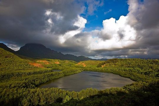 Kauai's Legends, Waterfalls & Geysers-Small Group Tour