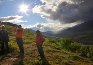Denali 5 Hour Hiking Tour with Naturalist Guide