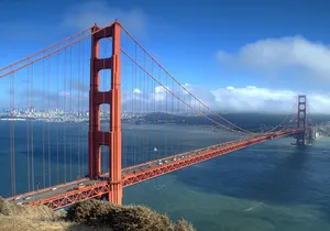 San Francisco Super Saver: Grand City Tour plus Muir Woods & Sausalito Day Trip