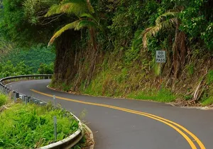 Road to Hana: Full-Day Scenic Drive with Blacksand & Waterfalls