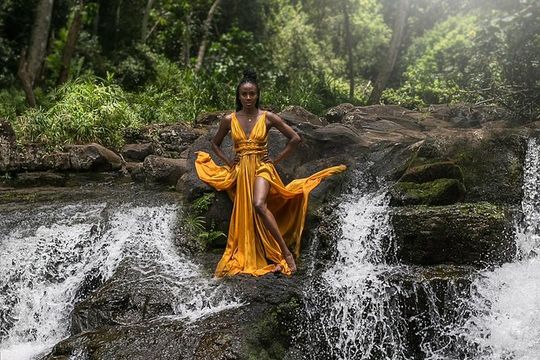 Brand modeling on Kauai