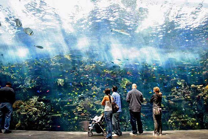 Atlanta CityPASS — Save 40%