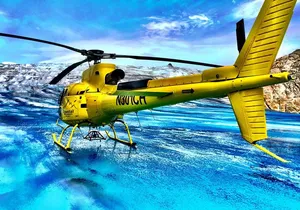 Helicopter to a Dogsledding Experience with a Glacier Landing