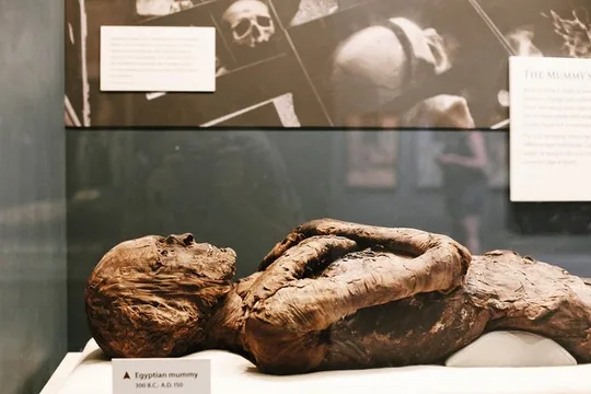 Smithsonian Museum of Natural History - Exclusive Guided Tour