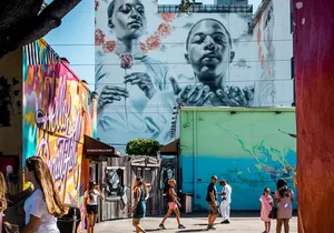 Miami City and Boat Tour Little Havana Included Plus FREE Bike Rental in SoBe