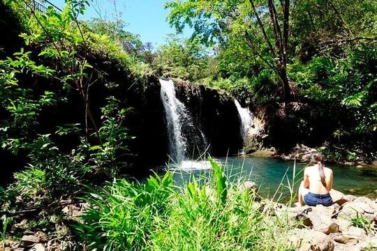 Road to Hana in Mercedes Van: Waterfalls and Black Sand Beach