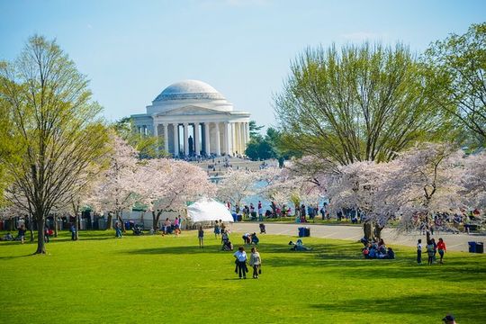 DC: Hop-On Hop-Off Tour with 17 Stops and Arlington Walking Tour