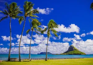 Tour of North Shore & Waimea Waterfall