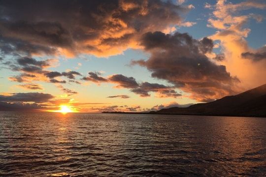 Maui Premium Dinner Cruise: Four Course Dining Experience