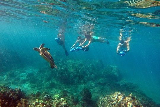 Sea Scooter Snorkeling Tour with GoPro - Wailea Beach