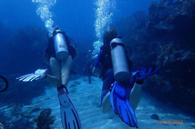 Half Day Scuba Diving Trip in the Florida Keys