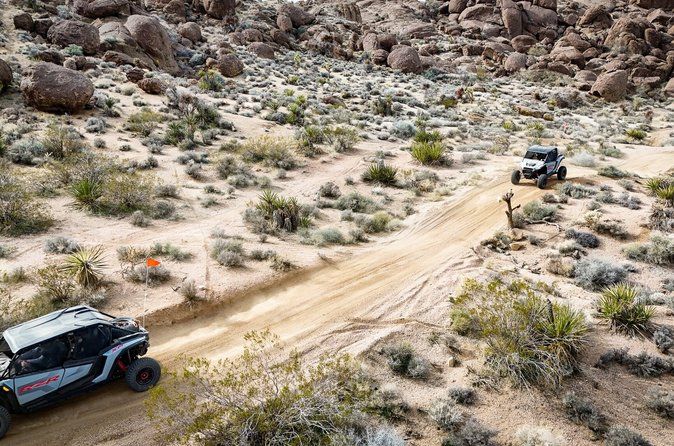 Guided Mojave Desert Off Road RZR Adventure