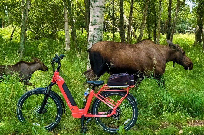 EBIKE - Wilderness Trails of Anchorage