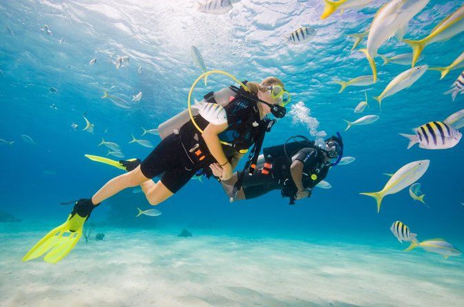 Try Scuba Diving in Key Largo — Small Group, Max 4 Students