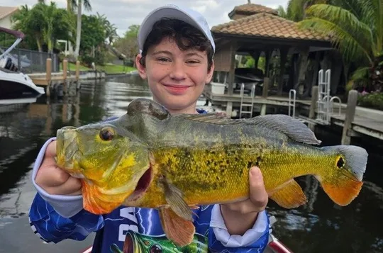 Private Peacock Bass Fishing Charter Near Palm Beach Florida