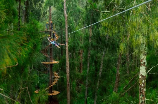 Big Island Kohala Zipline Adventure